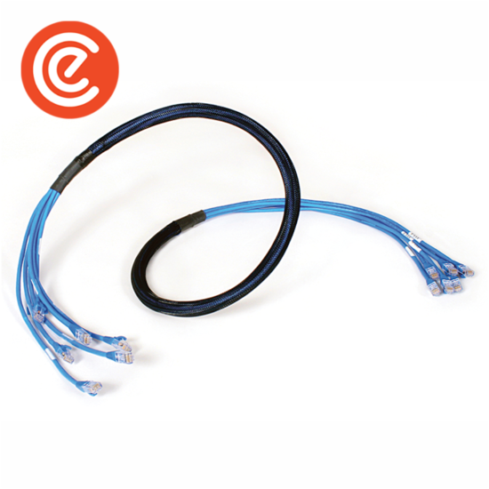 UTP – Plug To Plug – Copper Trunk Cable